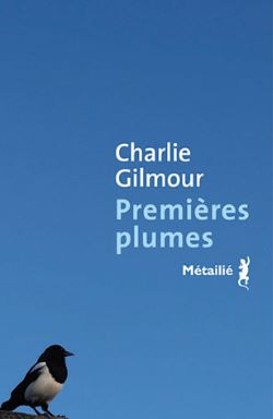 Couverture du livre, bleu ciel avec oiseau en bas à gauche 