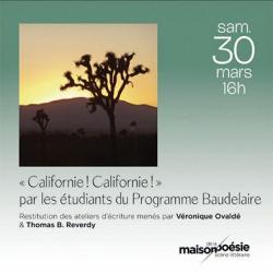 Affiche du spectacle Californie ! Californie ! Photo d'un arbre devant coucher de soleil