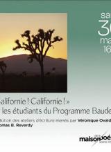 Affiche du spectacle Californie ! Californie ! Photo d'un arbre devant coucher de soleil